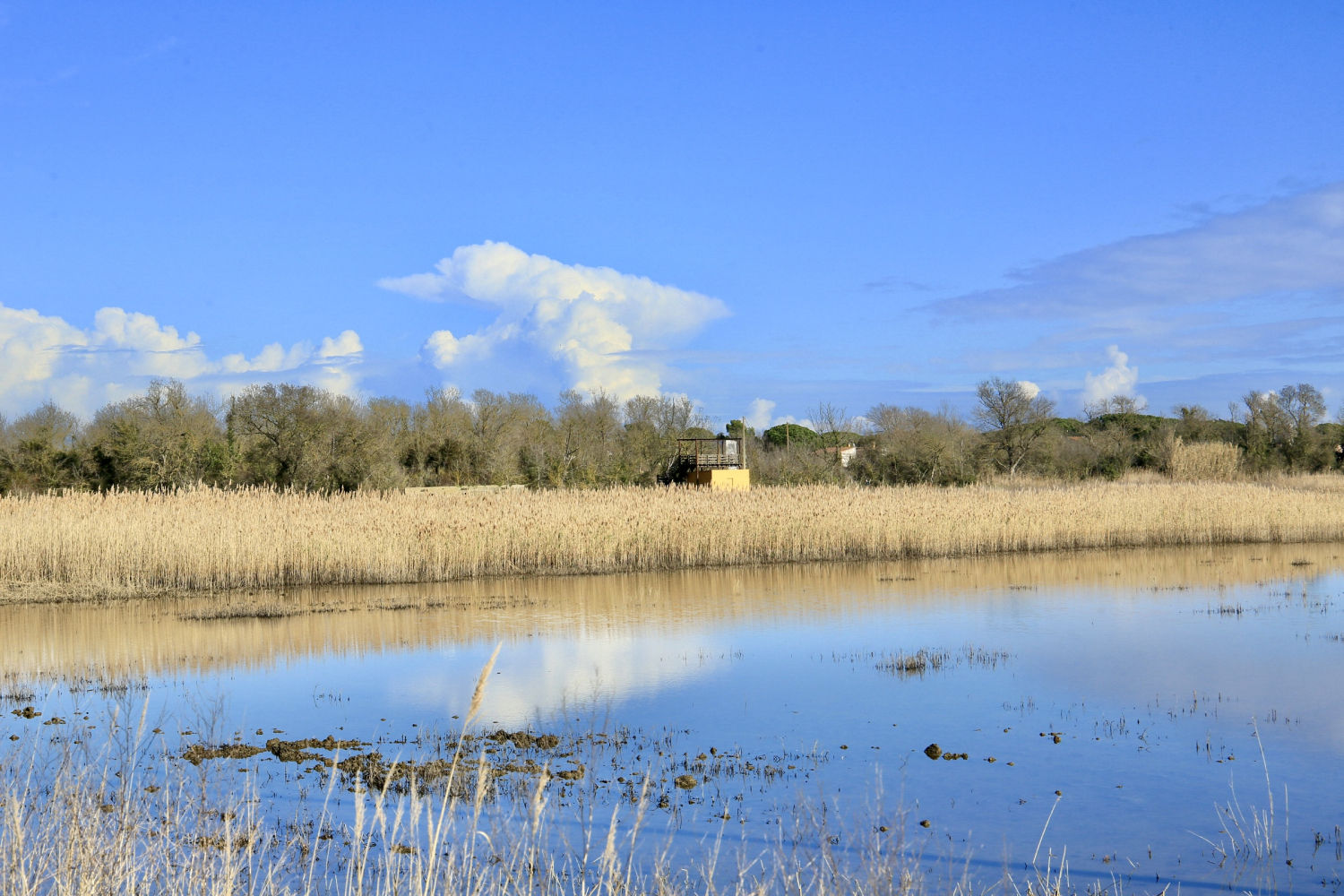 Les Basses d'en Coll en un día claro de invierno.