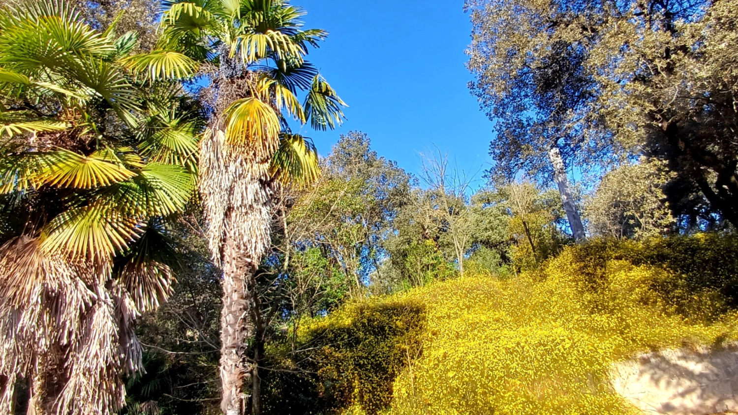 Jardines de la Colònia Pons de Puig-reig.