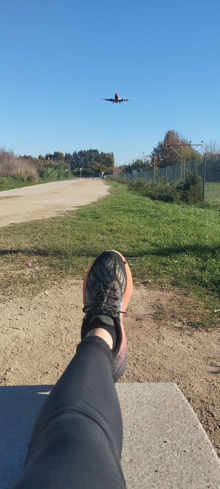 Observando el paso del avión.