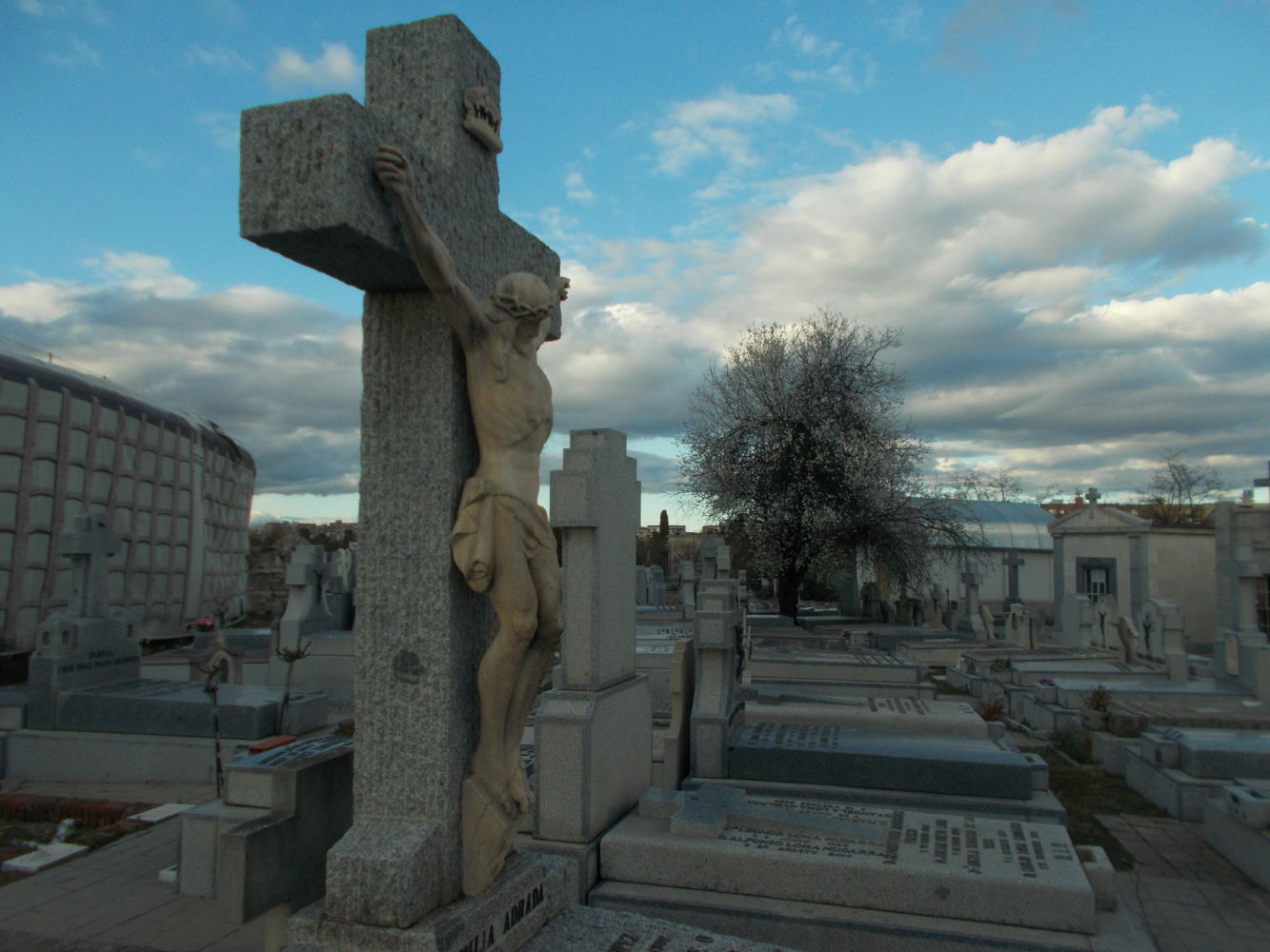Telón de fondo en las tumbas con el almendro en flor.