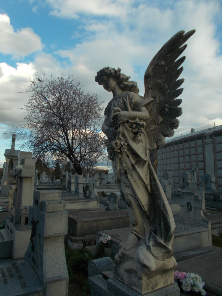 Almendro en flor entre las esculturas y sepulturas de la Almudena.