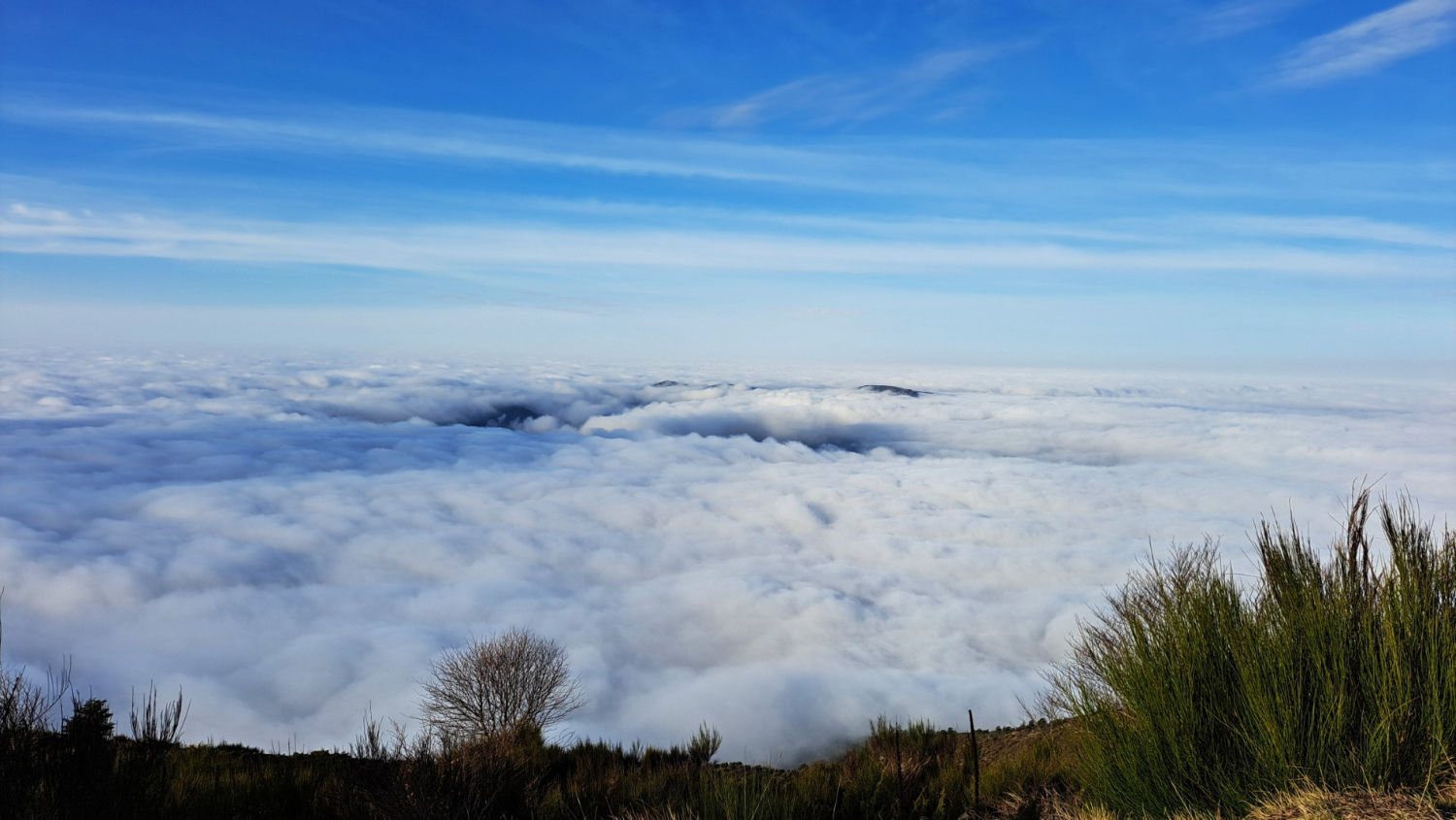 Vista del mar de niebla desde el Turó de l'Home.