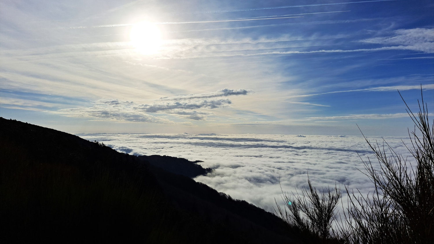 Amanecer de nieblas en el Turó de l'Home.