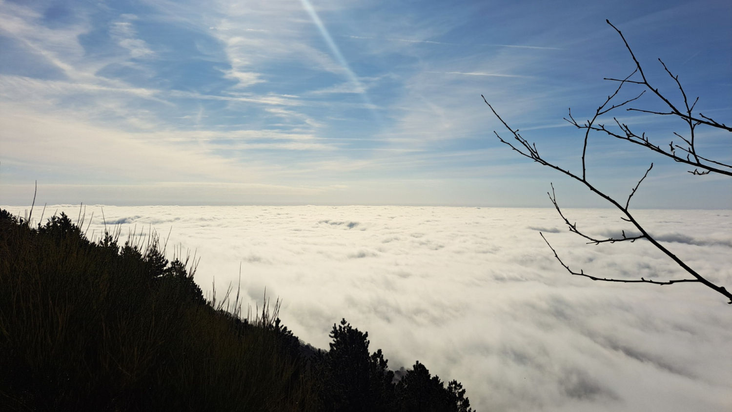 La inmensidad del mar de niebla visto desde el Turó de l'Home.