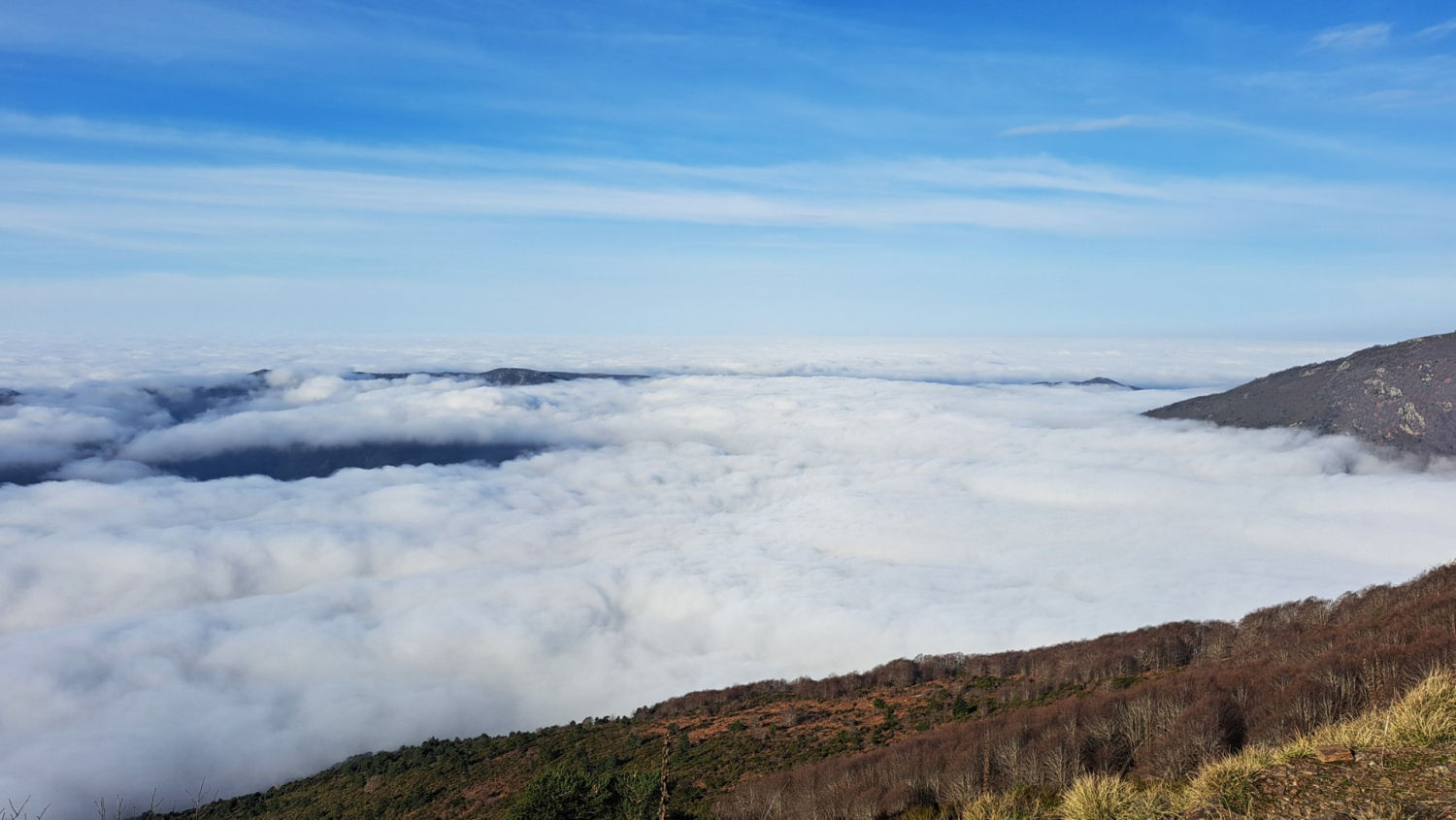 Niebla en el Turó de l'Home.