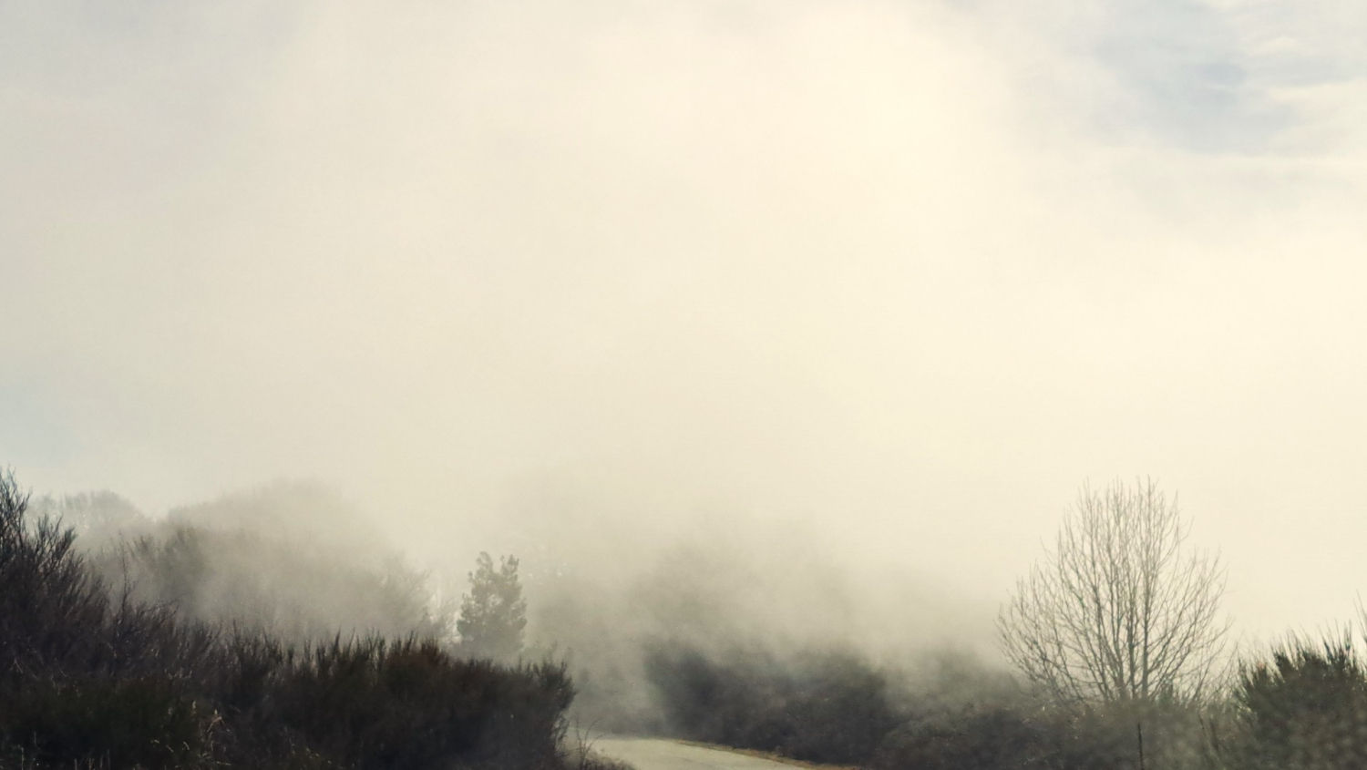 Mañana de niebla en el Turó de l'Home.