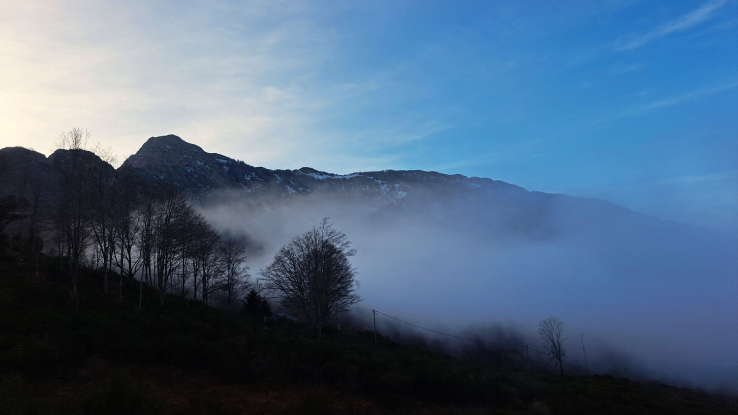 Niebla entre los árboles en el Montseny.