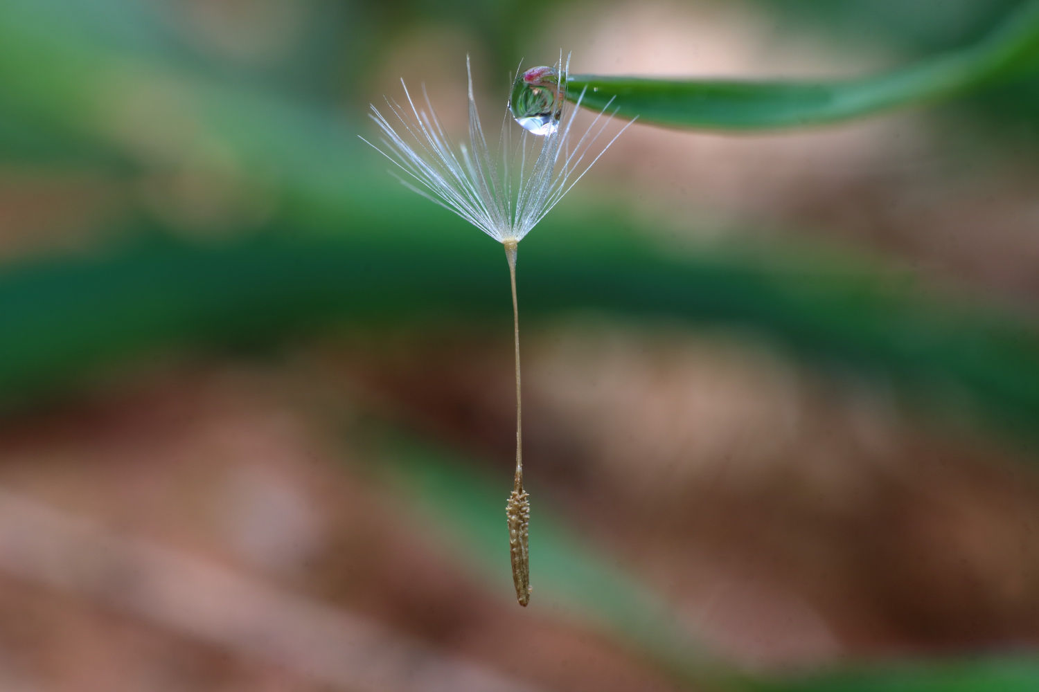 Angelito con reflejos en la gota.