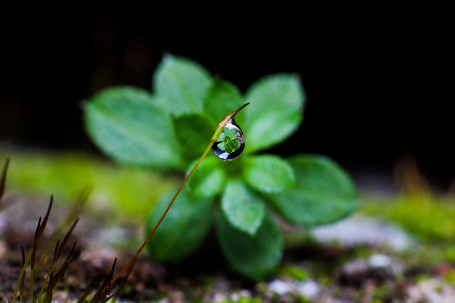 Gota de glicerina con reflejos.