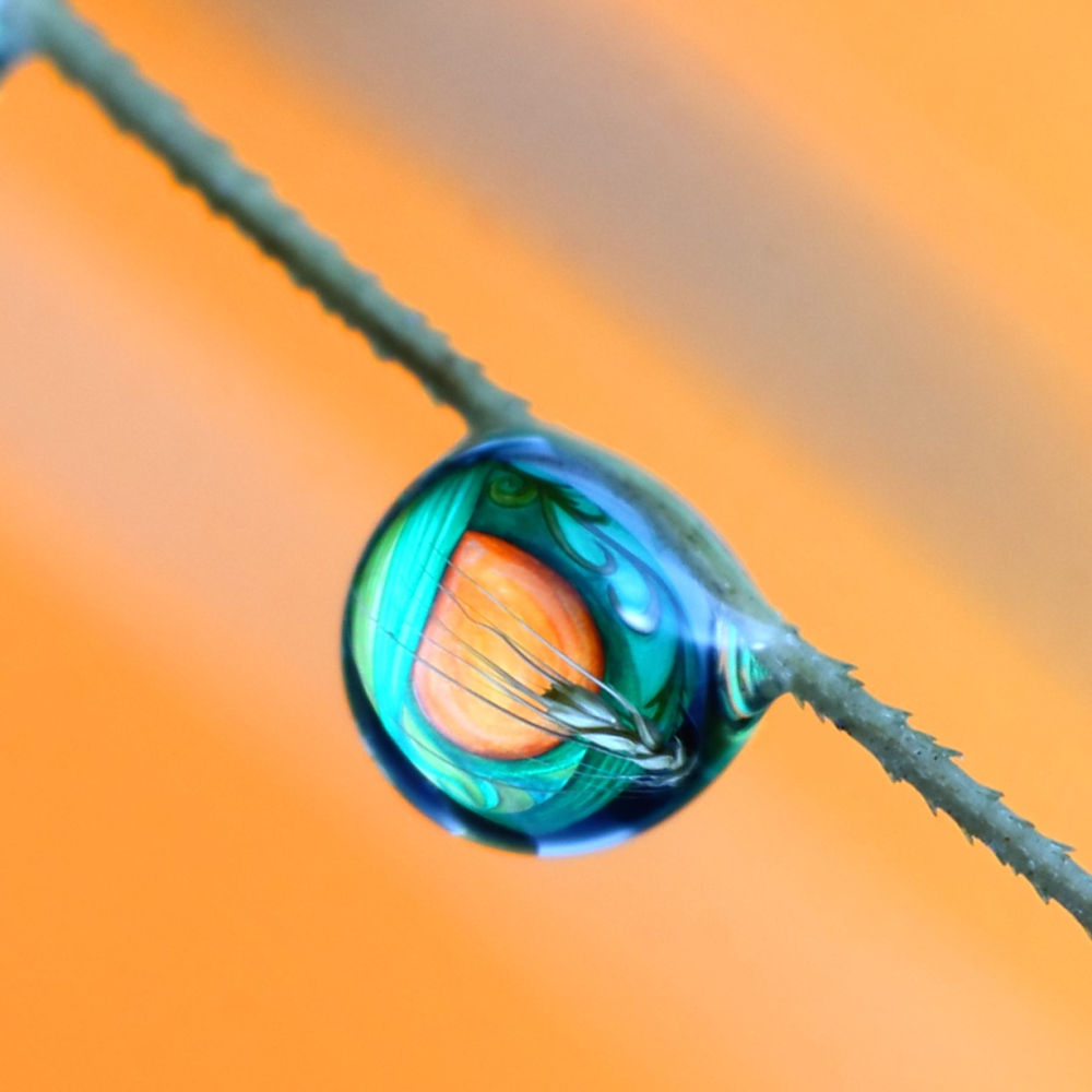 Pintura reflejada en la gota.