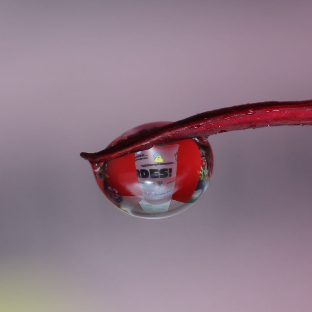 El vaso de 'Ja tardes!' reflejado en la gota.