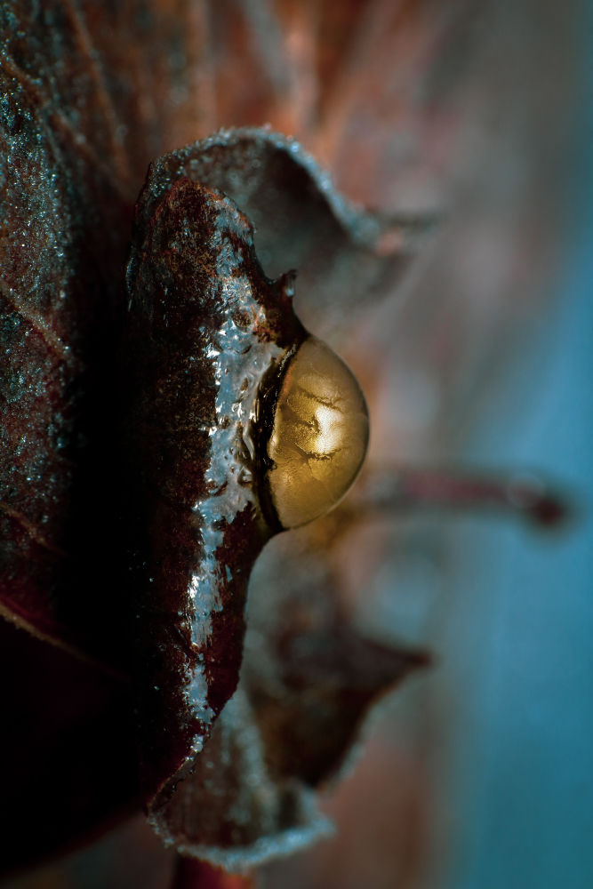 Detalle de la gota de jabón congelada.