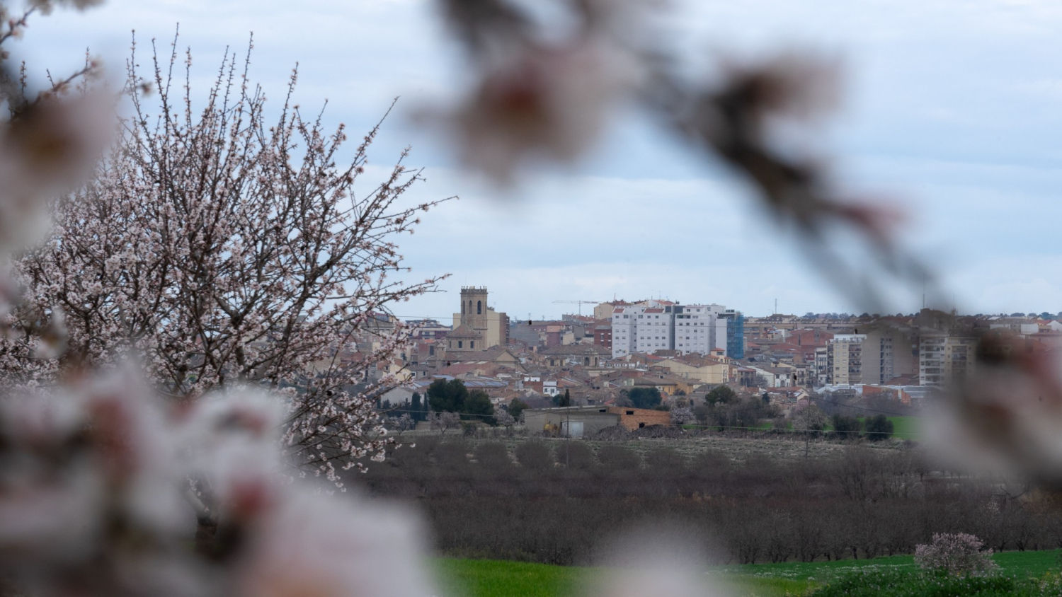 Vista de Tàrrega.