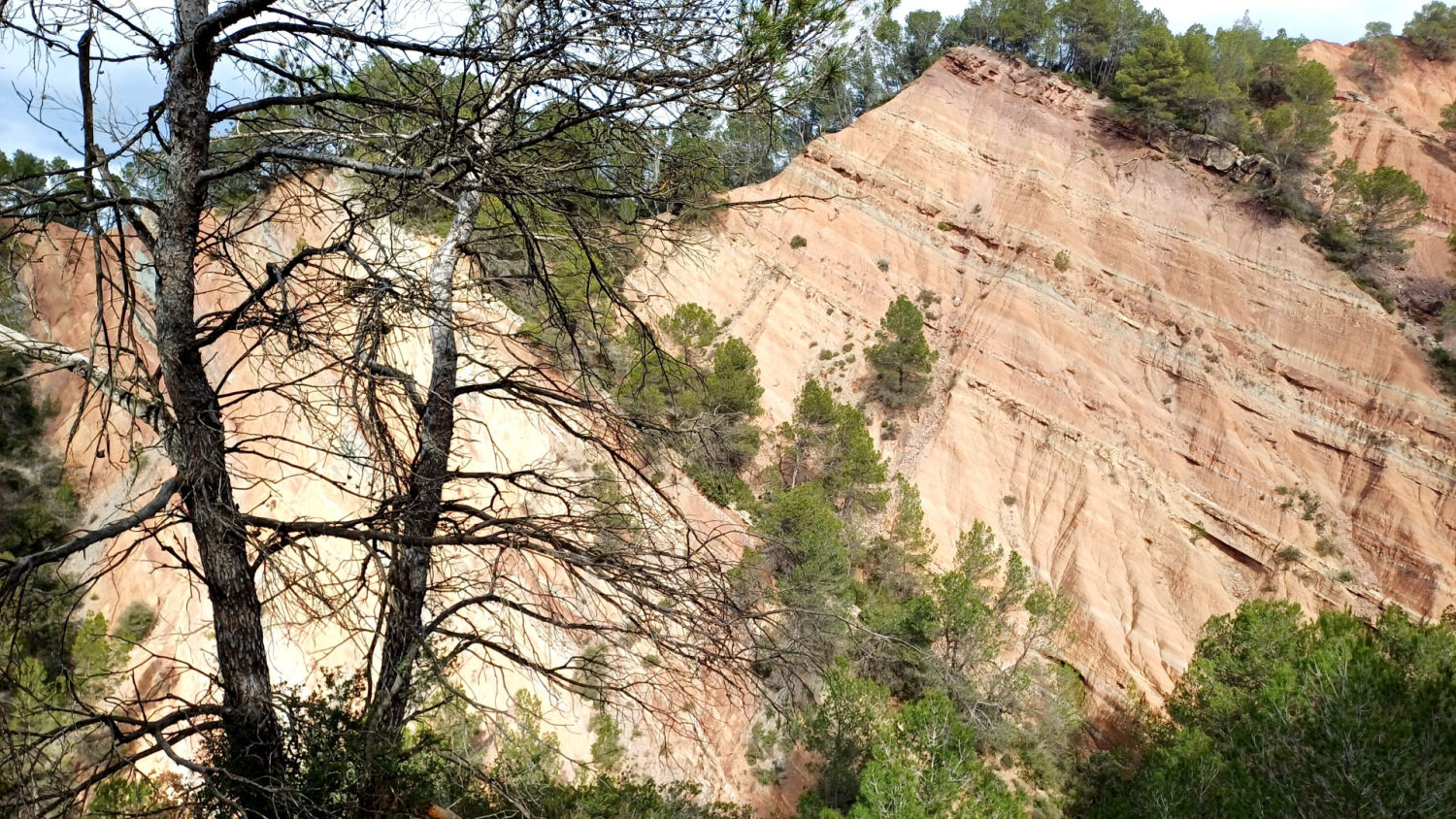 Brai d'Oló entre los árboles.