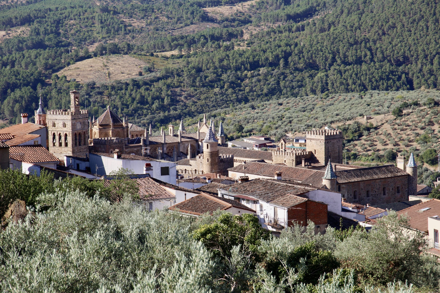 Vista de Guadalupe desde la sierra.