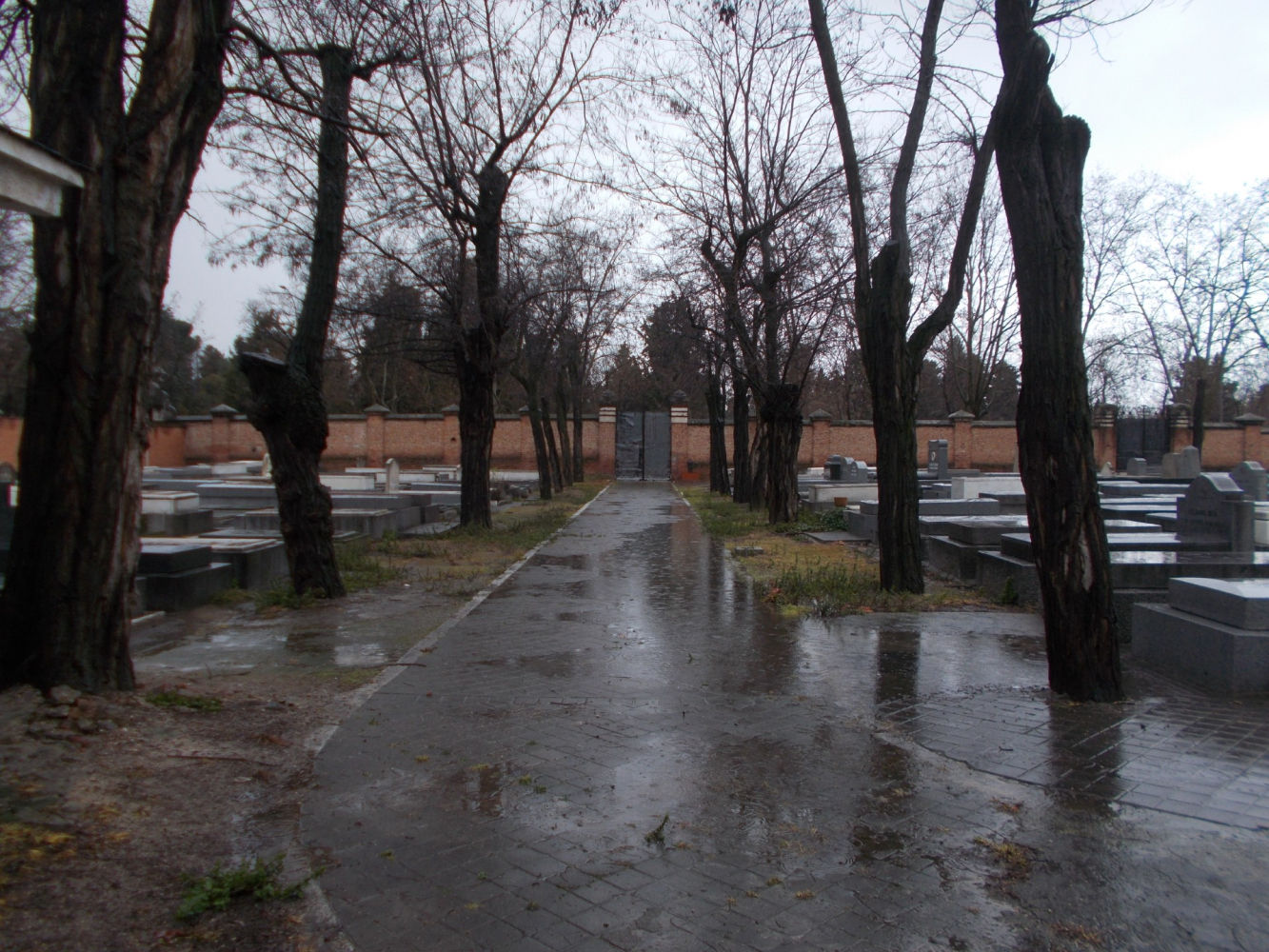 Vista del cementerio hebrero de la Almudena.