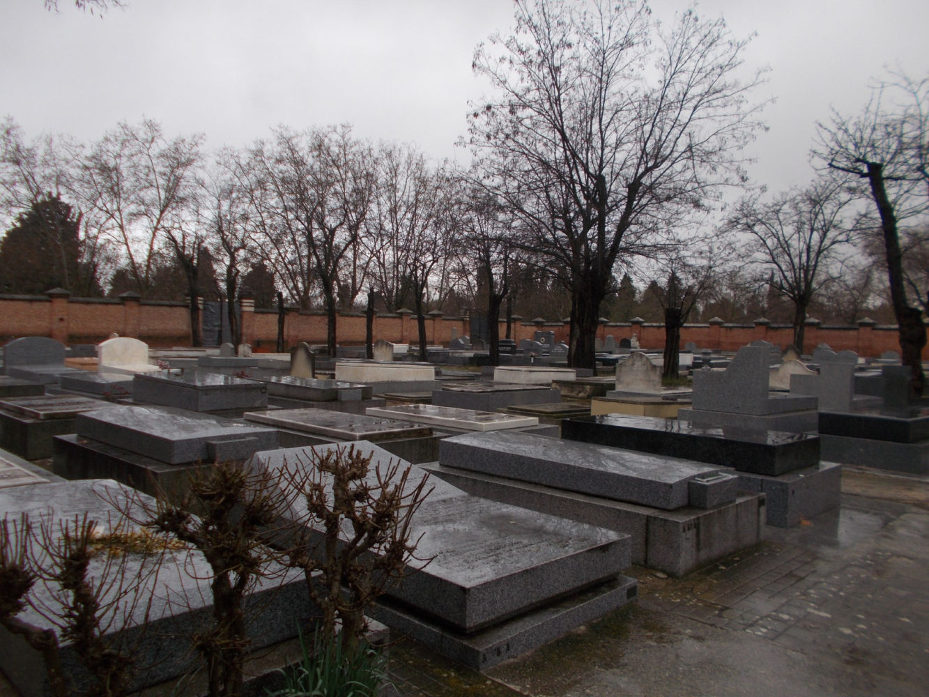 Vista del cementerio hebrero de la Almudena en un día de lluvia.