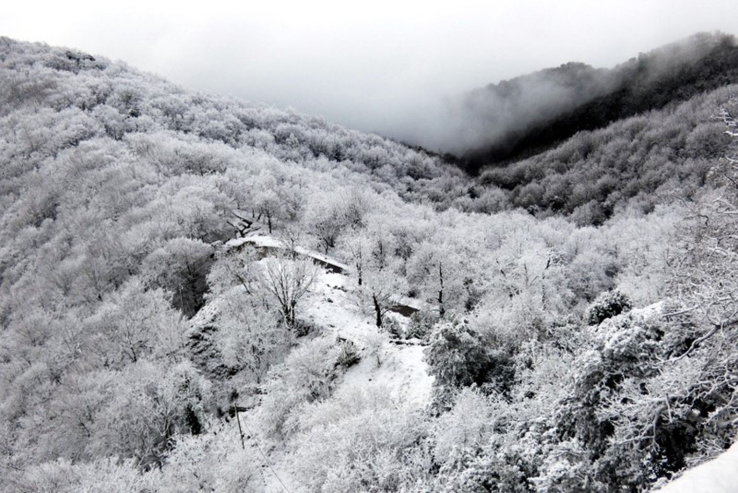 Sierra blanca de Bellmunt.
