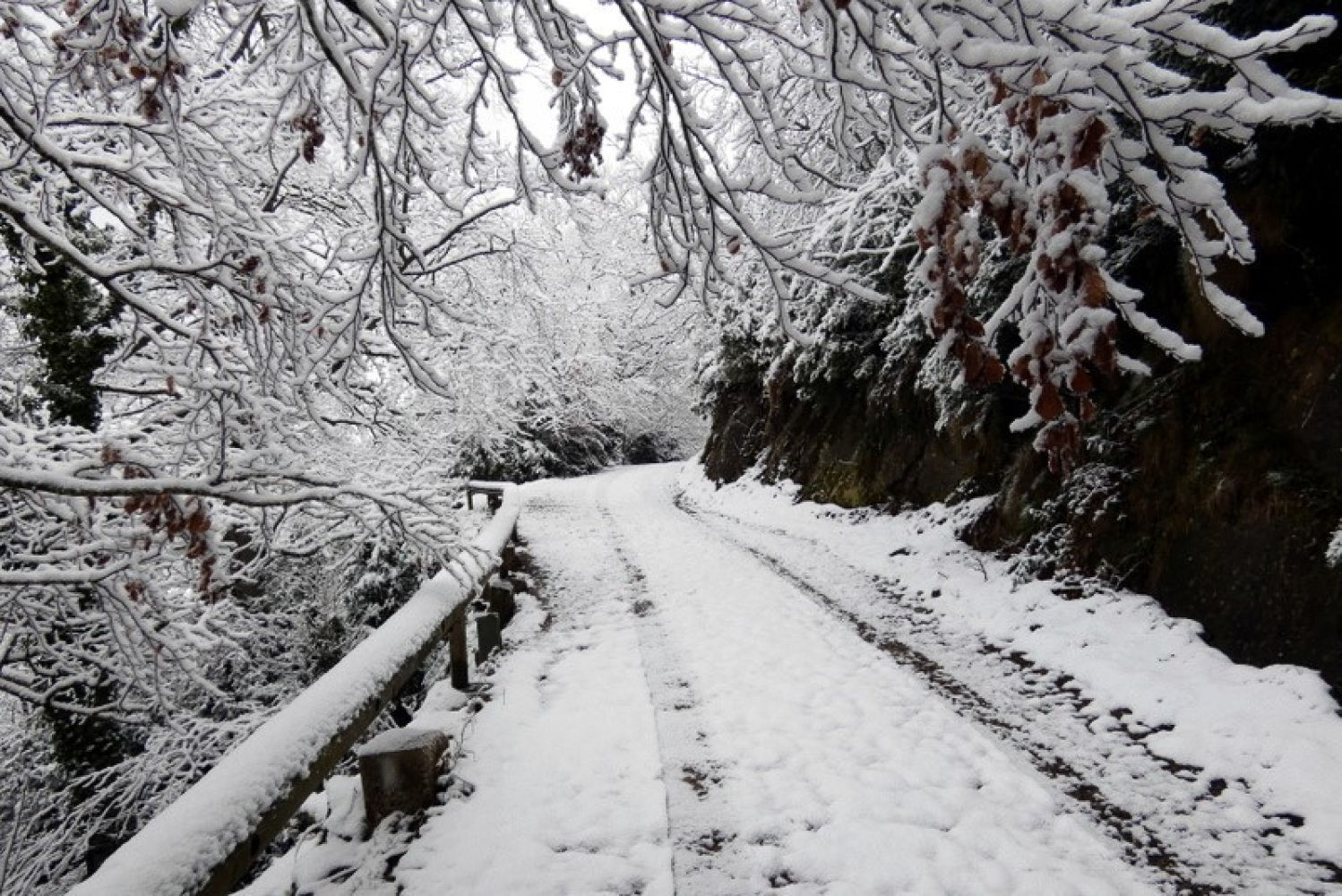 Carretera blanca a Bellmunt.
