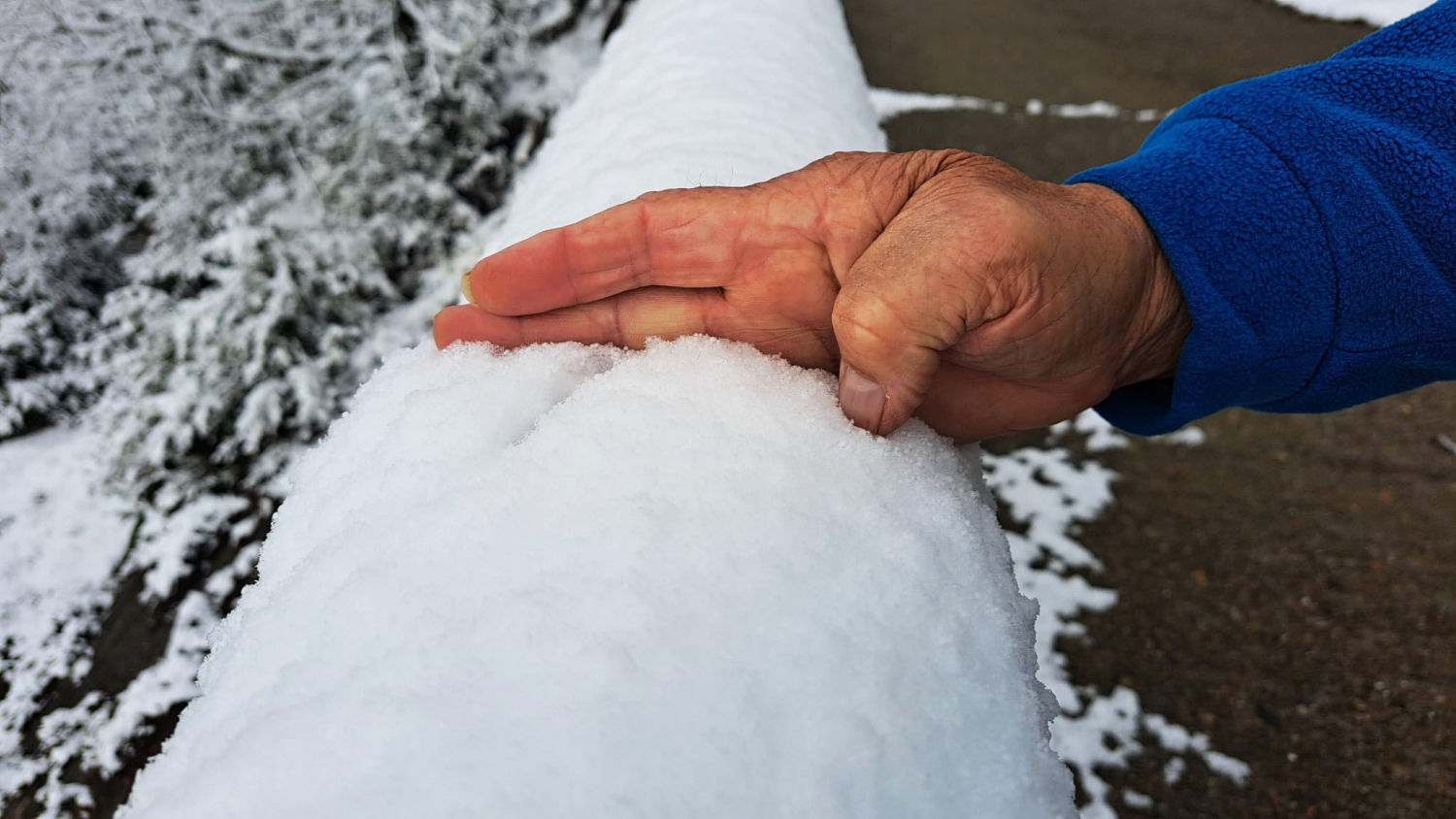 Nieve acumulada en Bellmunt.