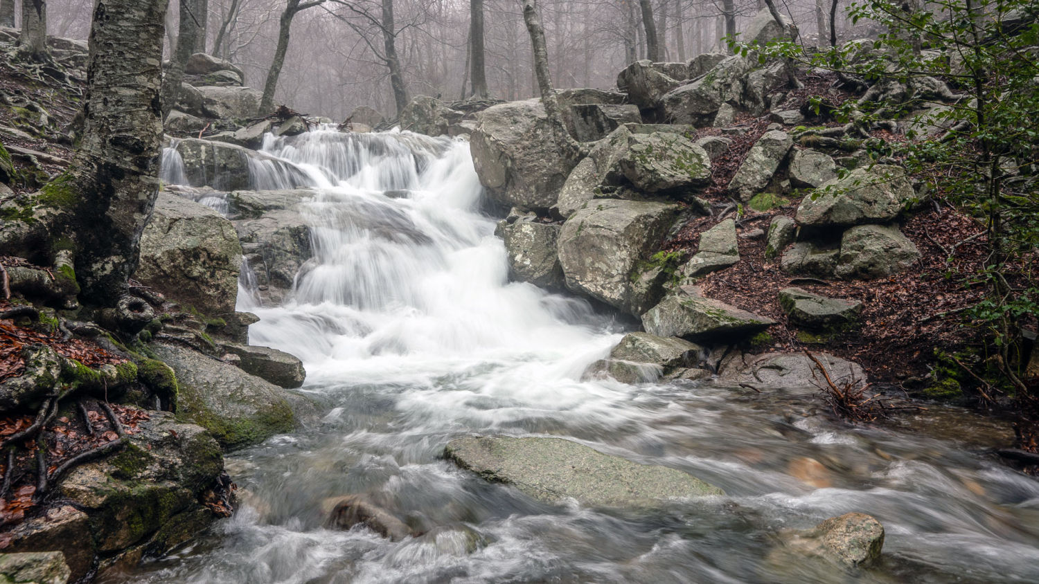 Agua a tope en la Riera de Santa Fe.