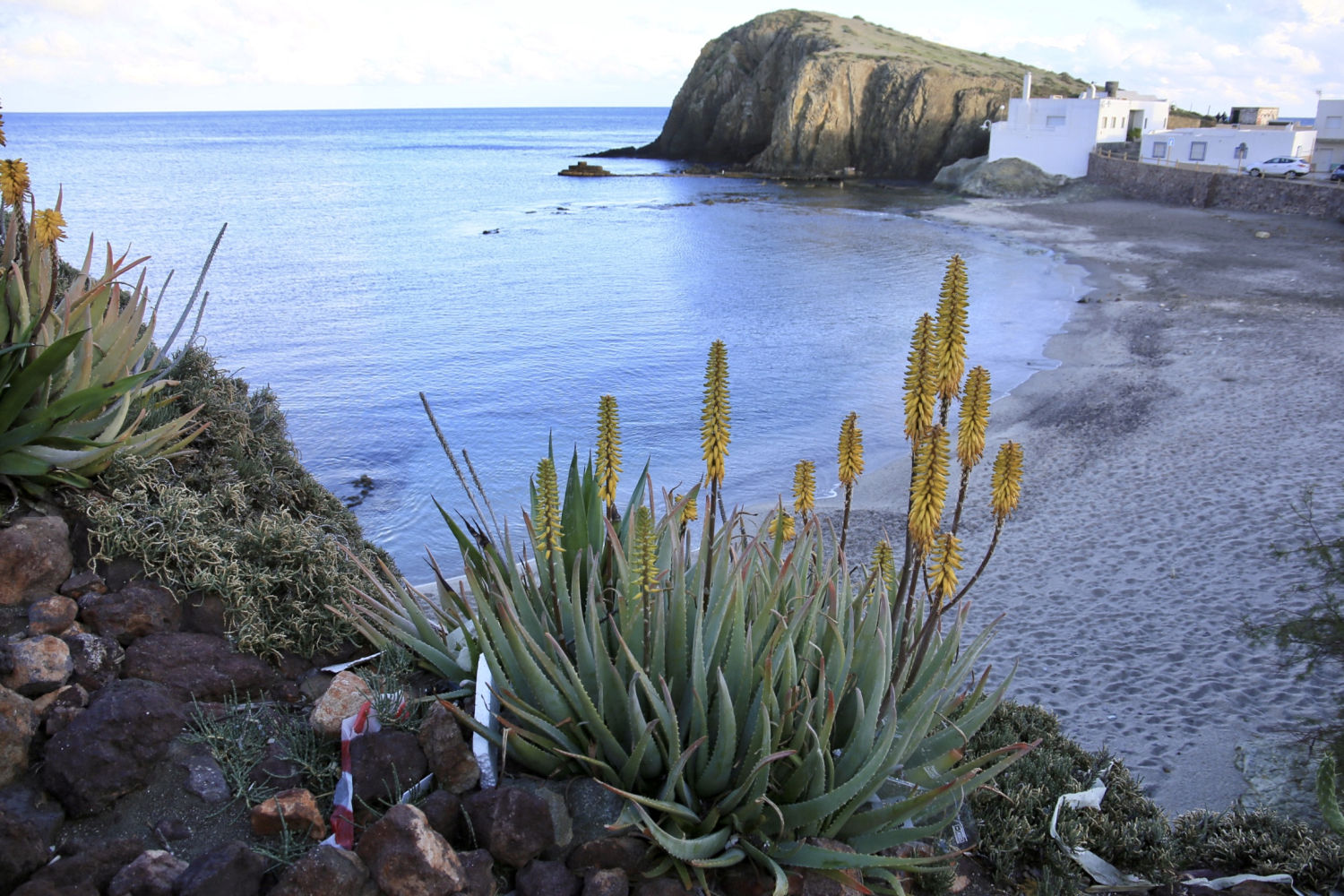 La riqueza natural de la Isleta del Moro.