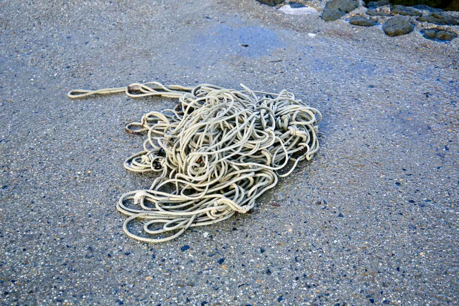 Utensilio habitual en la pesca.