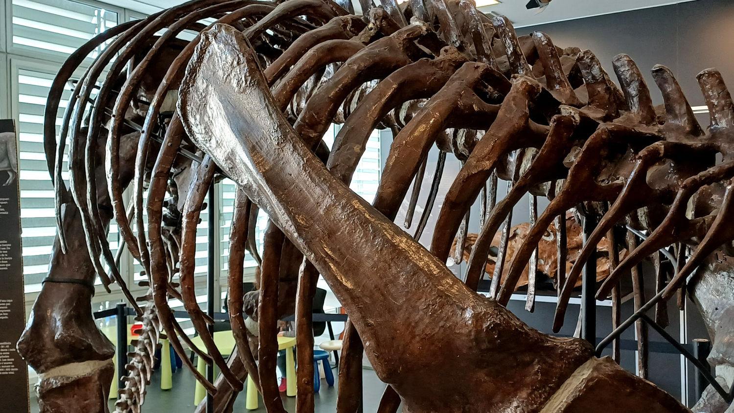 El Instituto Catalán de Paleontología fue fundado por Miquel Crusafont.