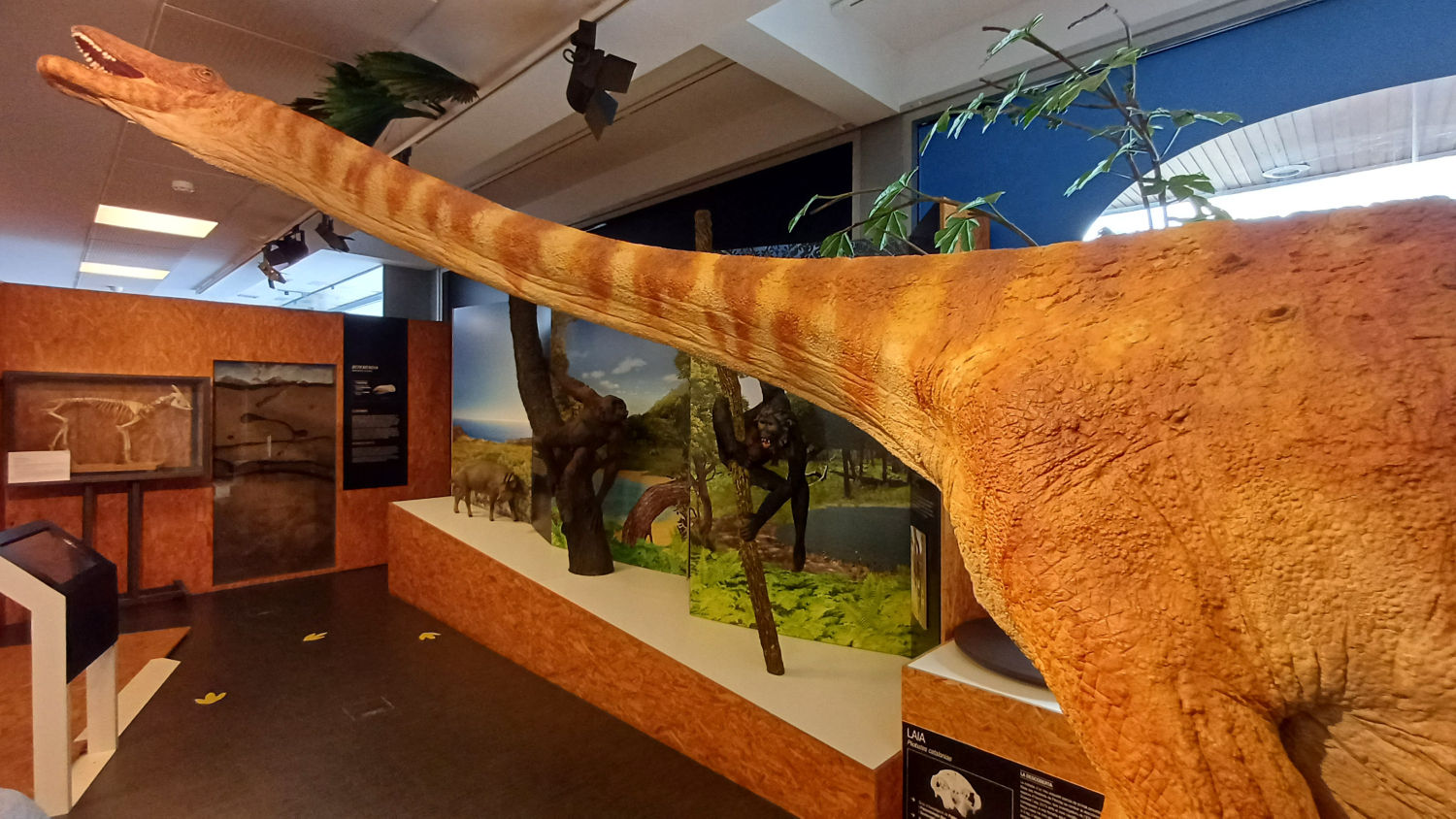 Pequeña muestra en el museo.