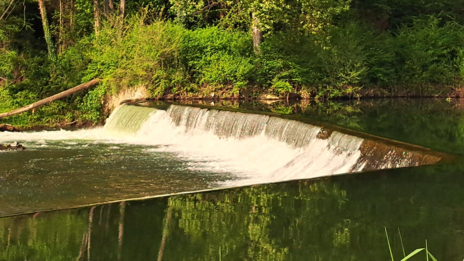 El Ter es la referencia de la ruta.