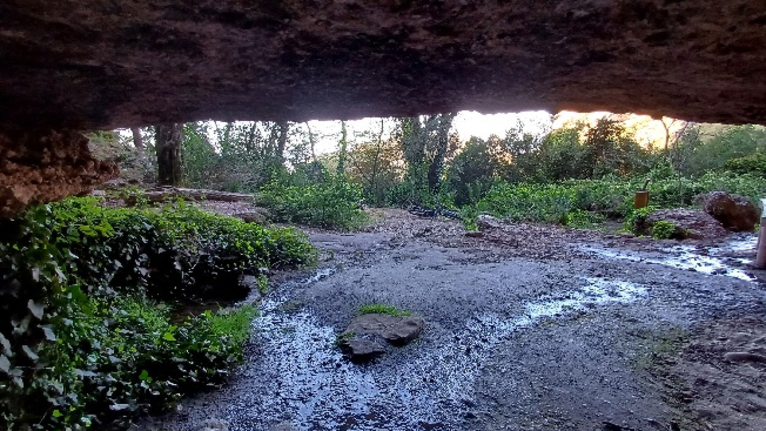 Zona en la que se encuentra la fuente de la Pola.