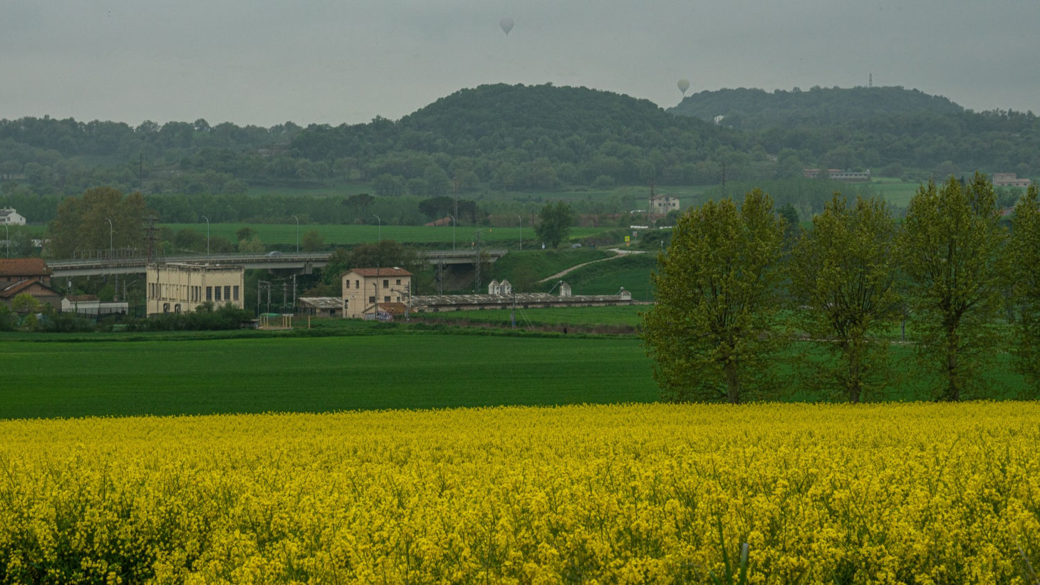 El amarillo destaca en el paisaje de Manlleu.
