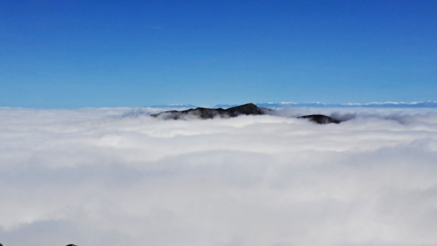 La niebla lo cubre casi todo.