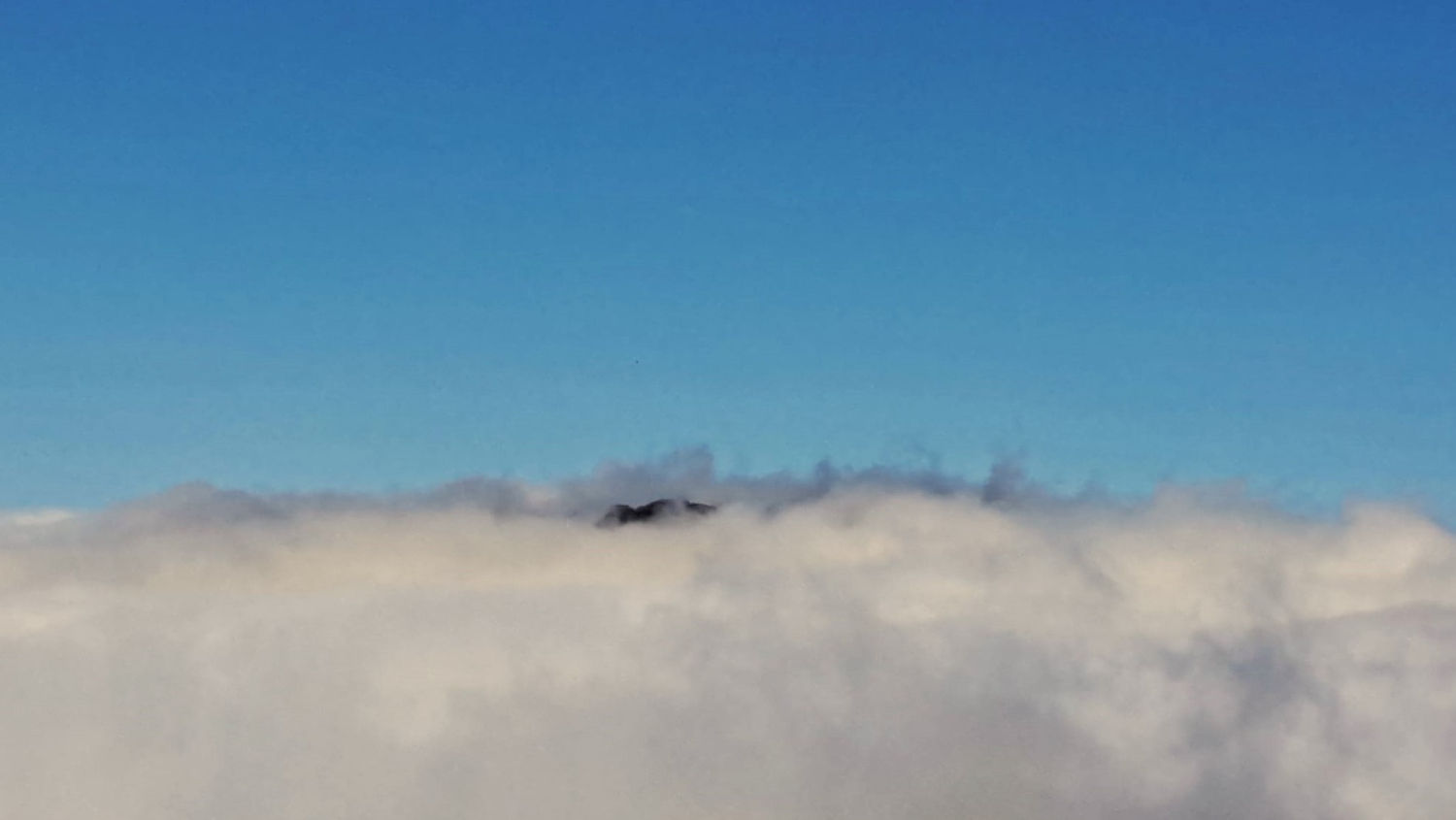 Niebla como algodón en el Turó de l'Home.