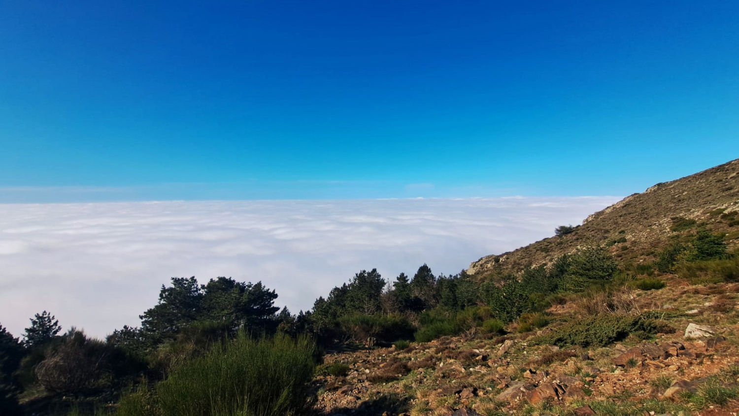 Mirador de los mares de niebla, en el Turó de l'Home.