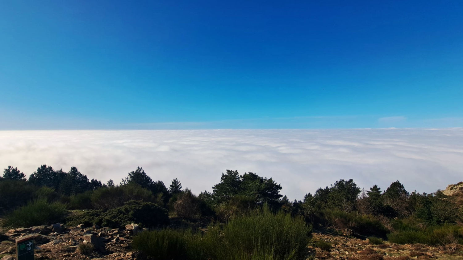 Paisaje de niebla, camino del Turó de l'Home.