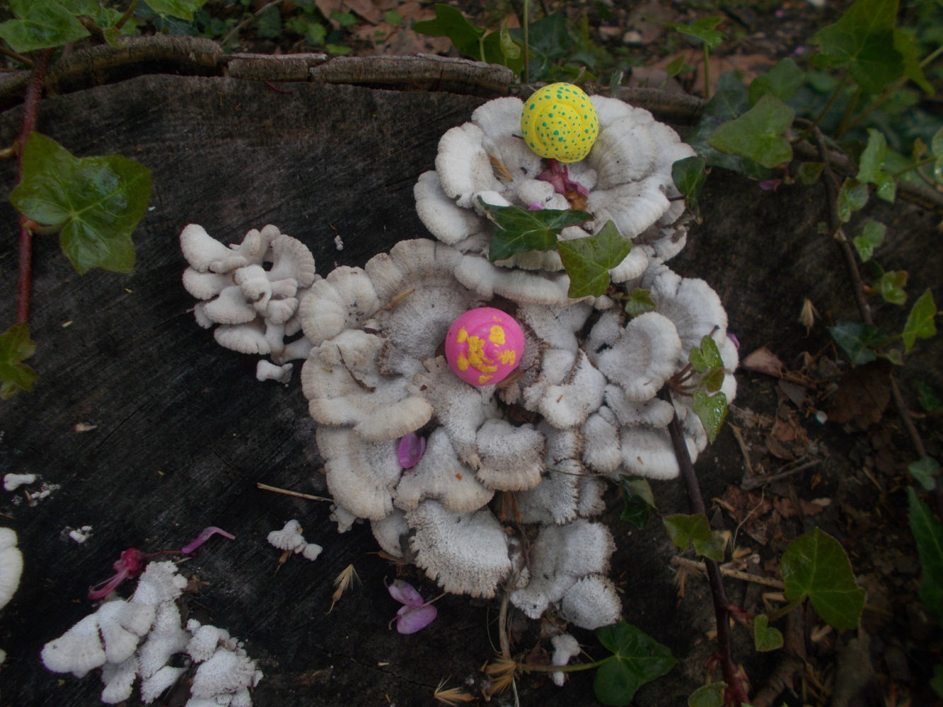 Caracoles de colores en la Quinta de Torre Arias.