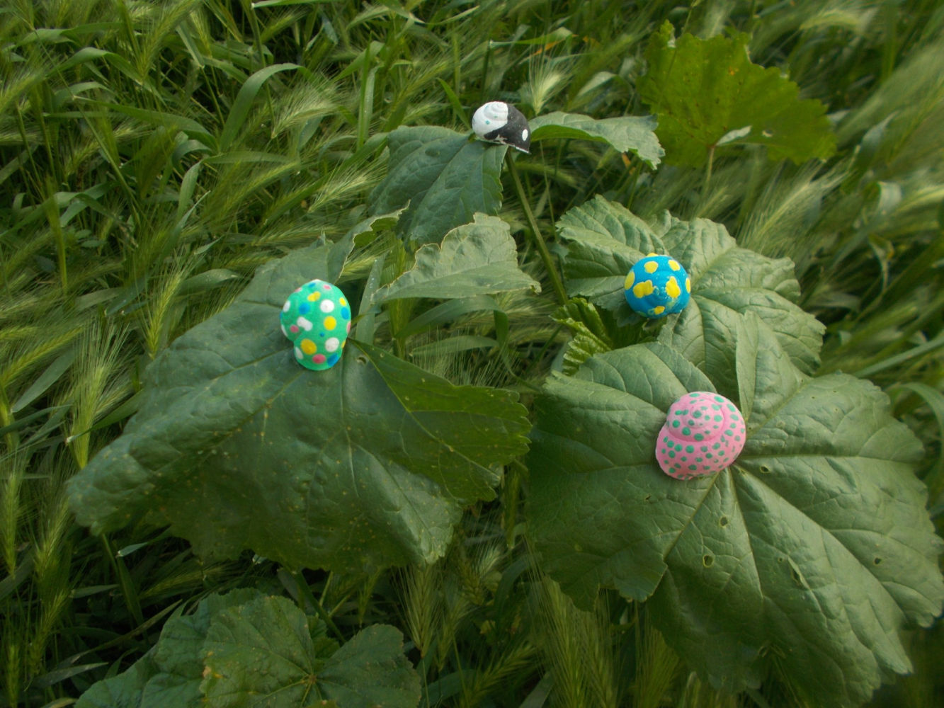Algunos de los caracoles de colores de la Quinta de Torre Arias.