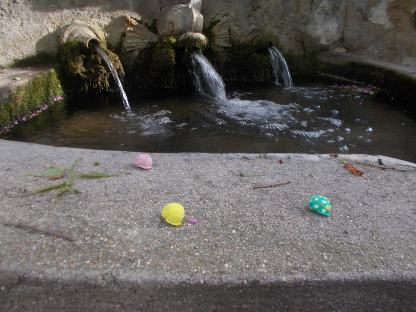 Caracoles de colores en la Quinta de Torre Arias.