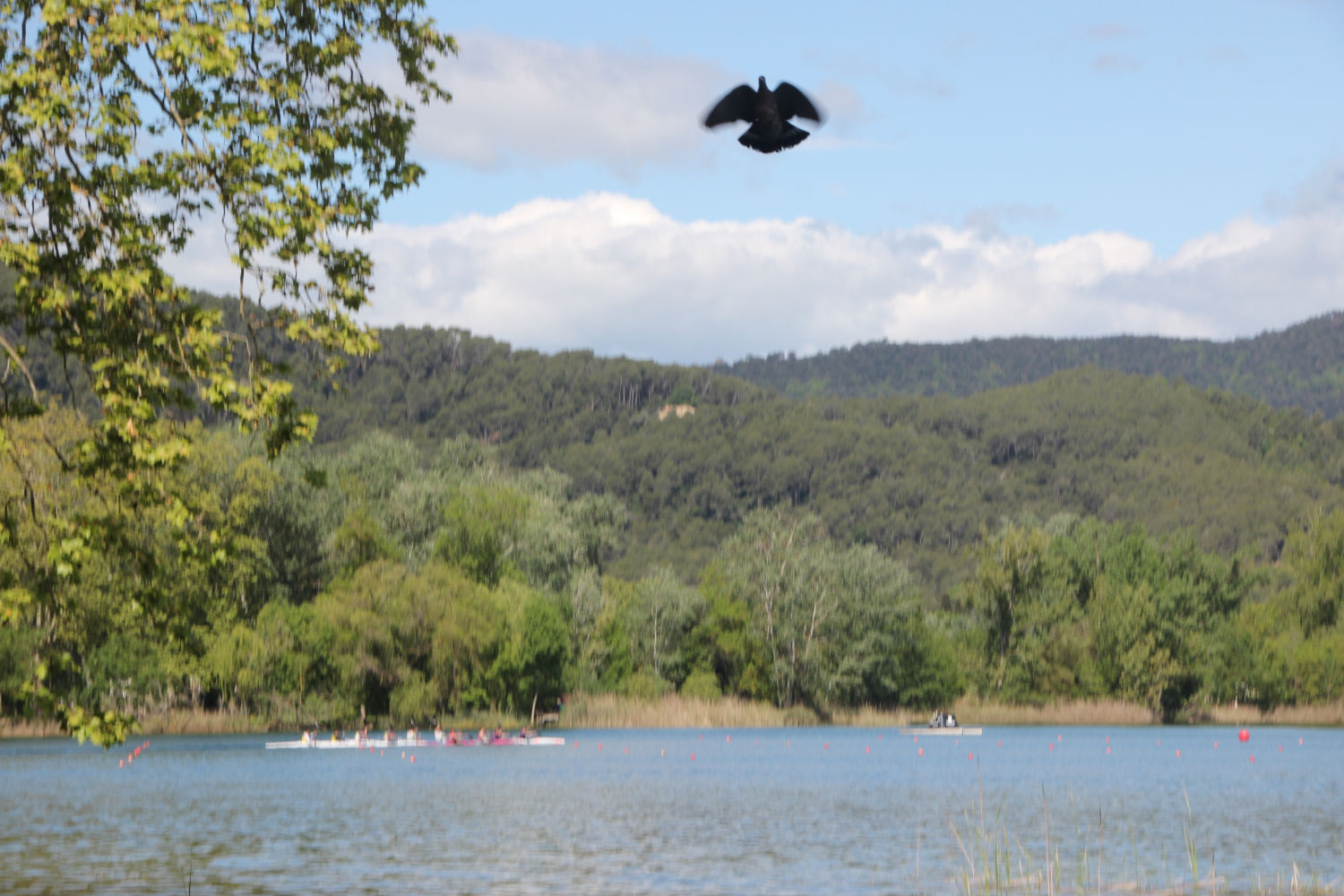 El estanque de Banyoles, el destino perfecto para los deportes acuáticos.