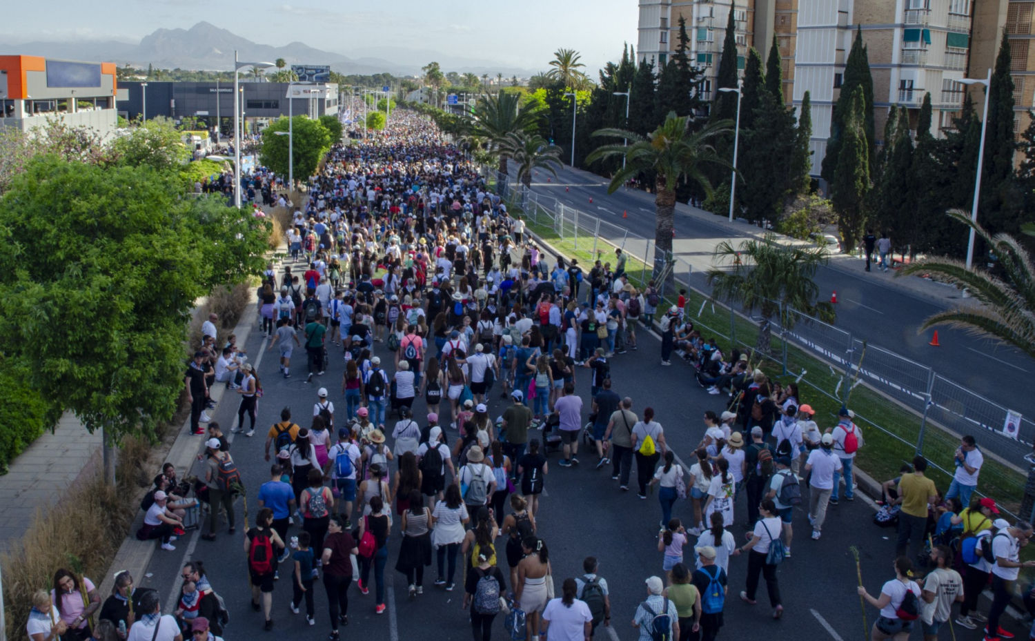 La romería de Santa Faz, la segunda más numerosa de España.