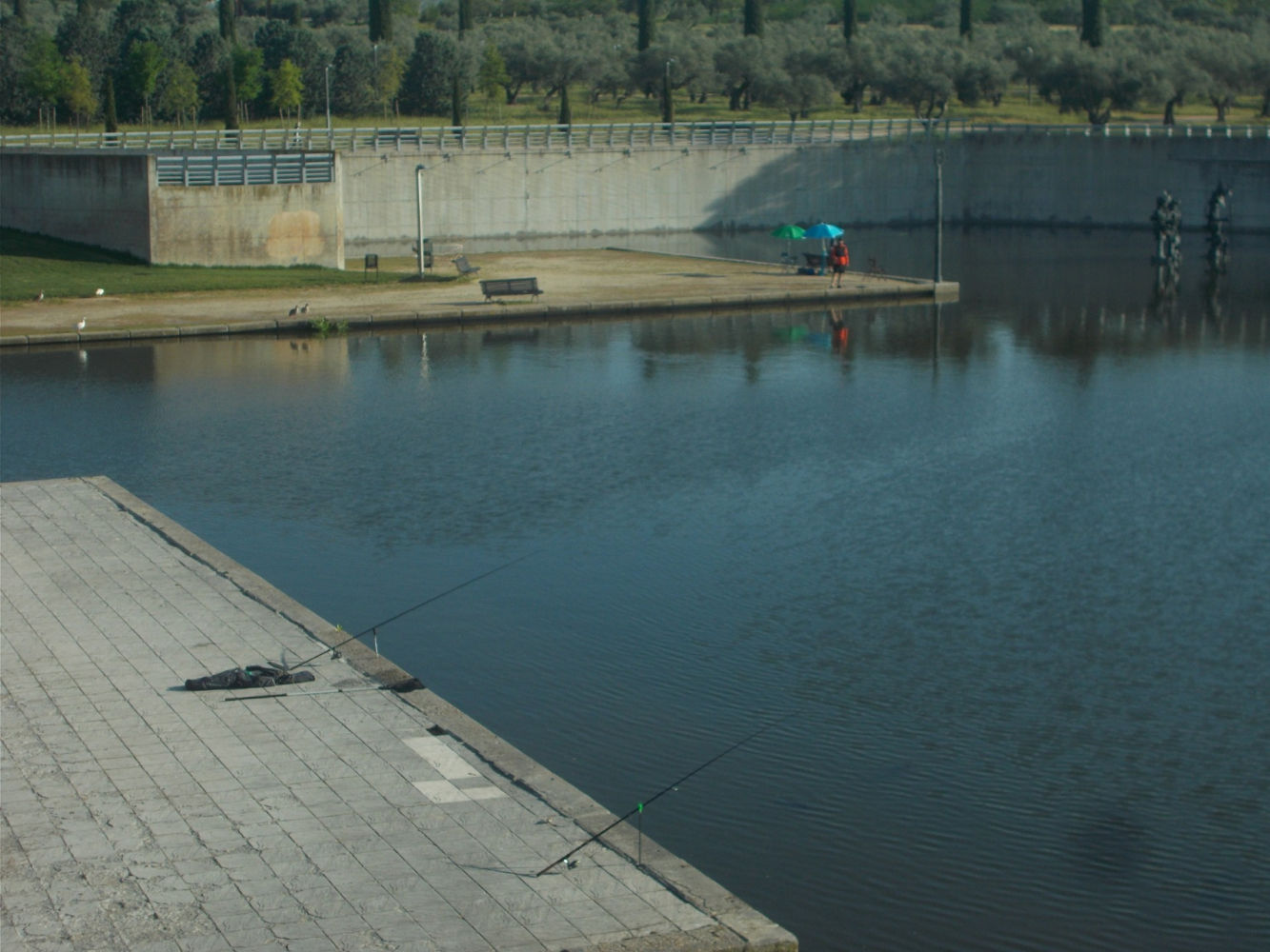 Cañas en el lago del parque Juan Carlos I.