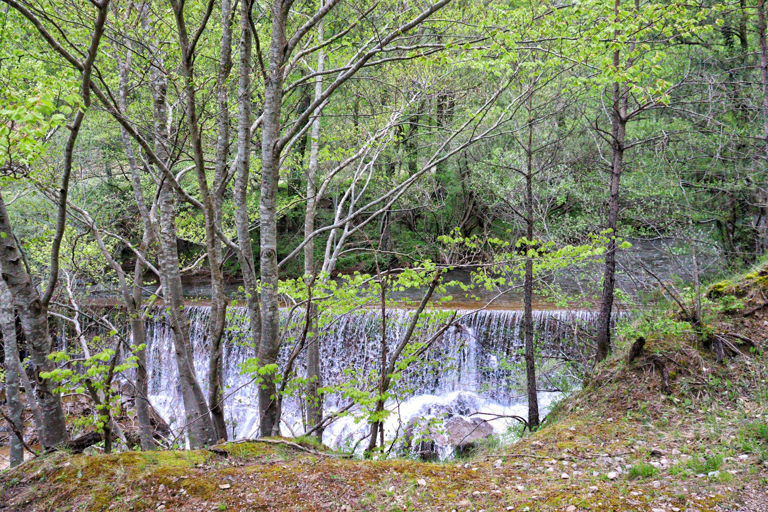 Desde el ferrocarril se puede observar el río Llobregat.