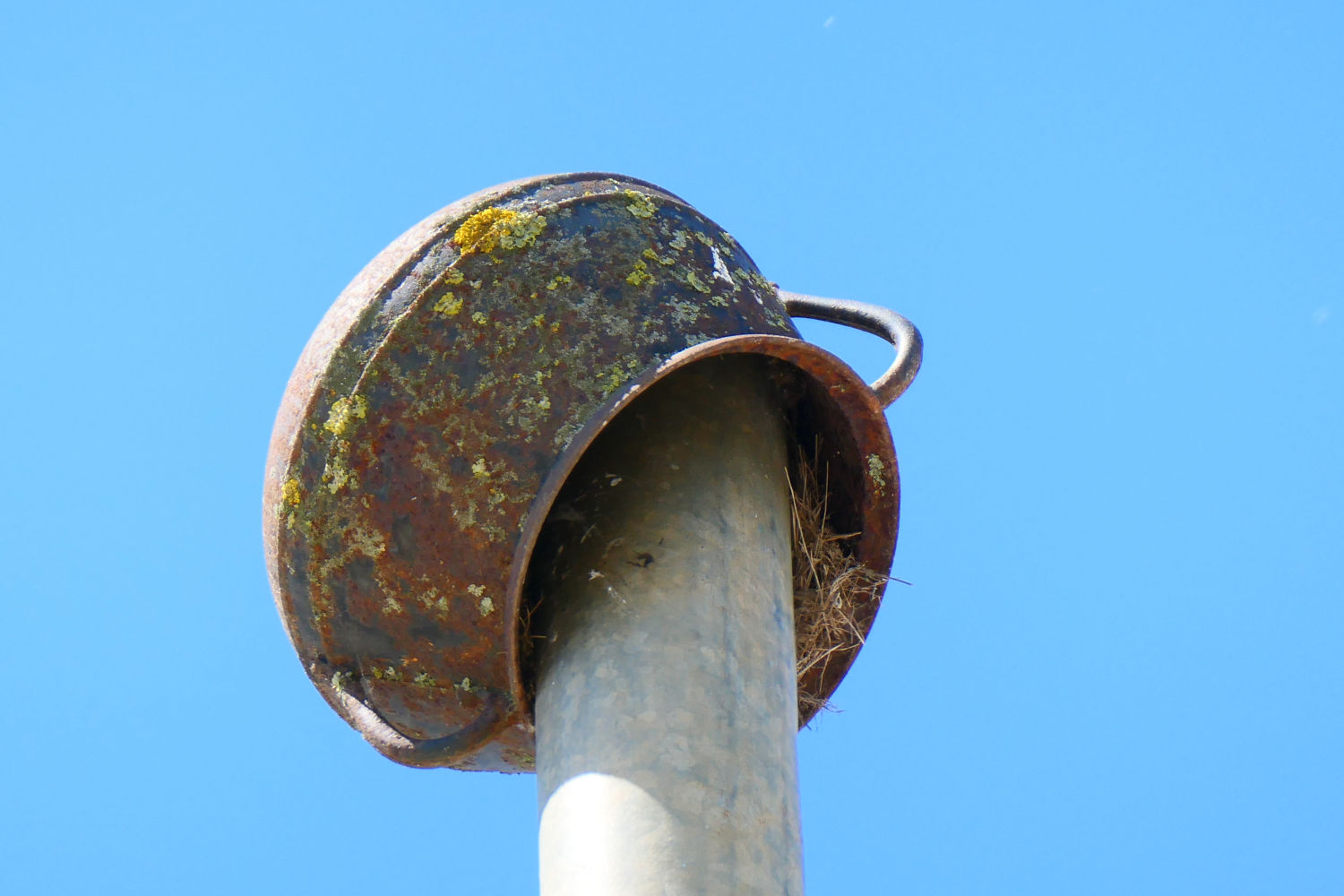 La parte de arriba del 'Paller dels Oficis Antics'.