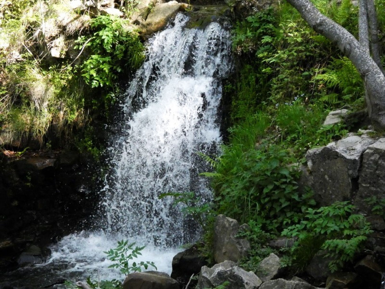 Agua para el pantano de Santa Fe.