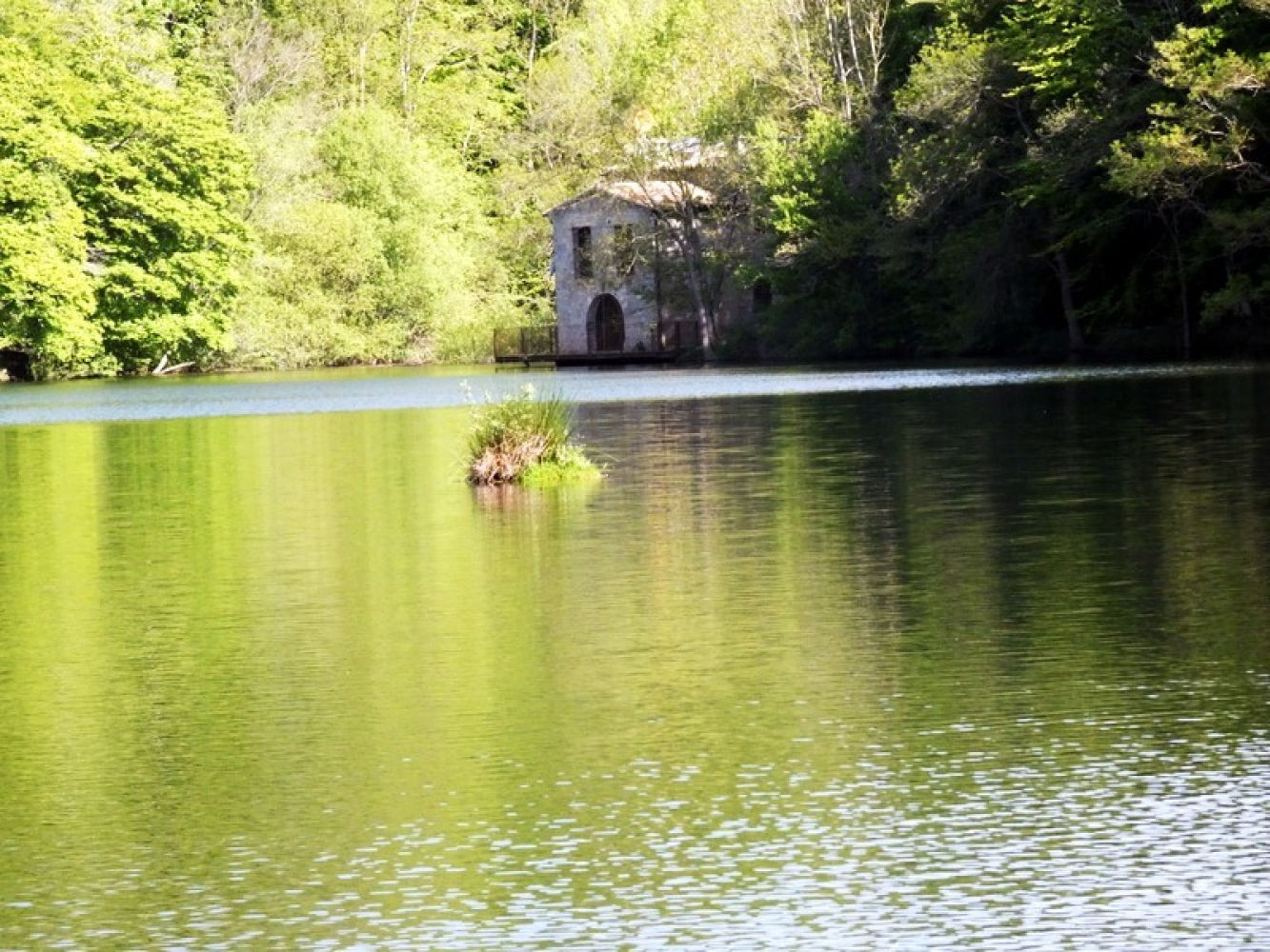 Reflejos en el pantano de Santa Fe.