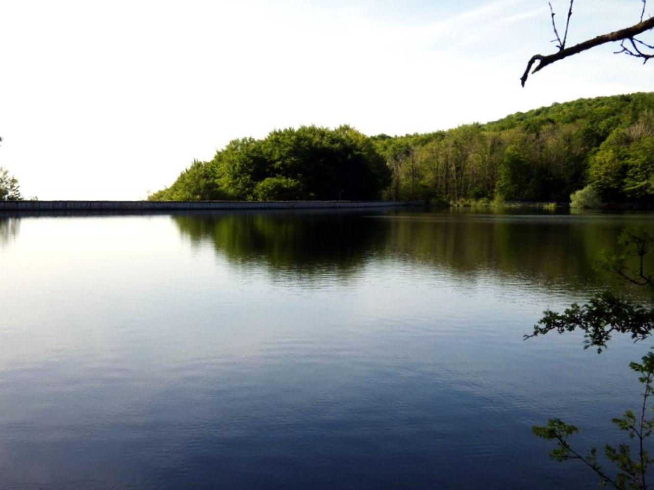 Primavera en el pantano de Santa Fe.