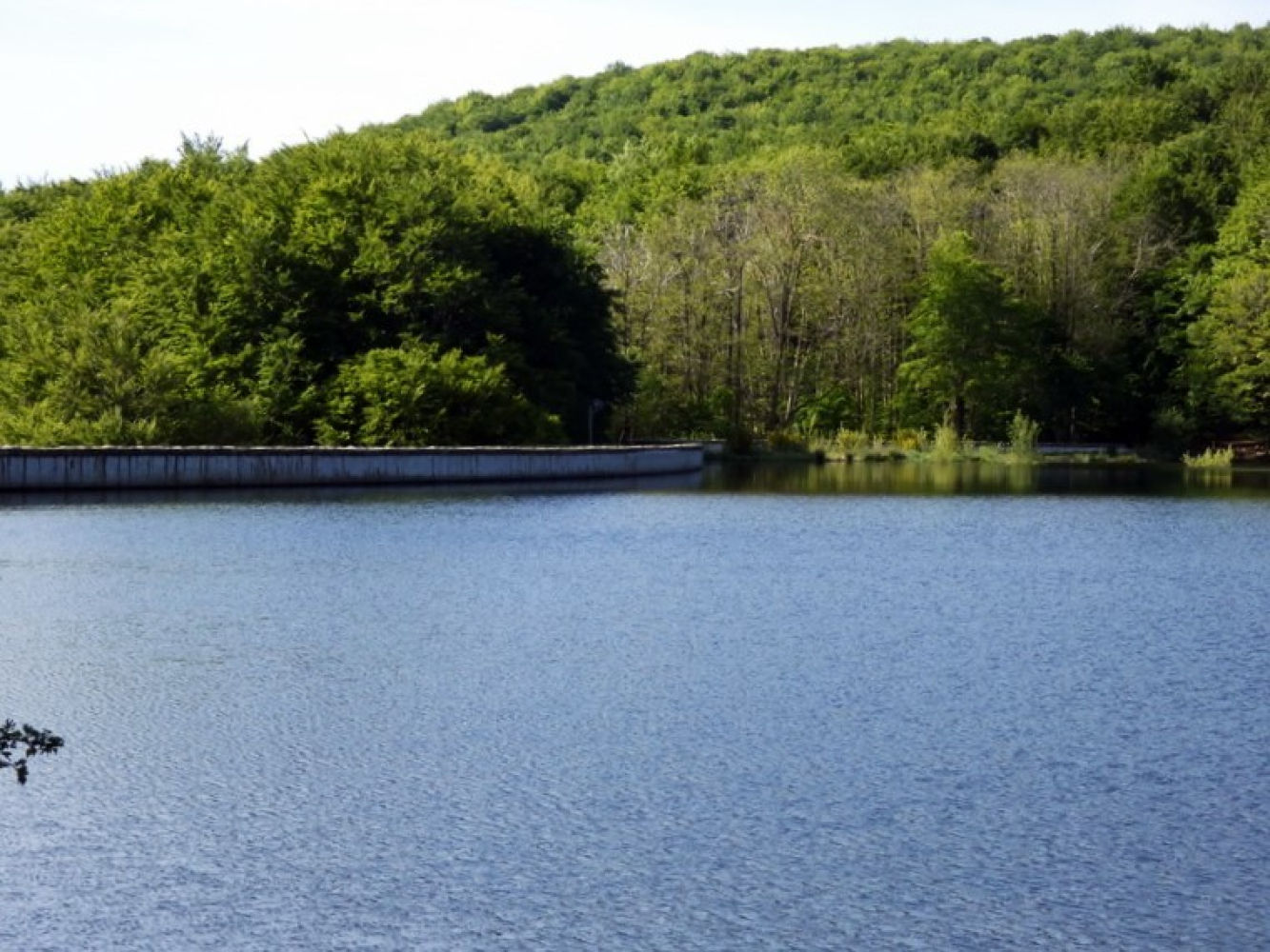 Pantano de Santa Fe.