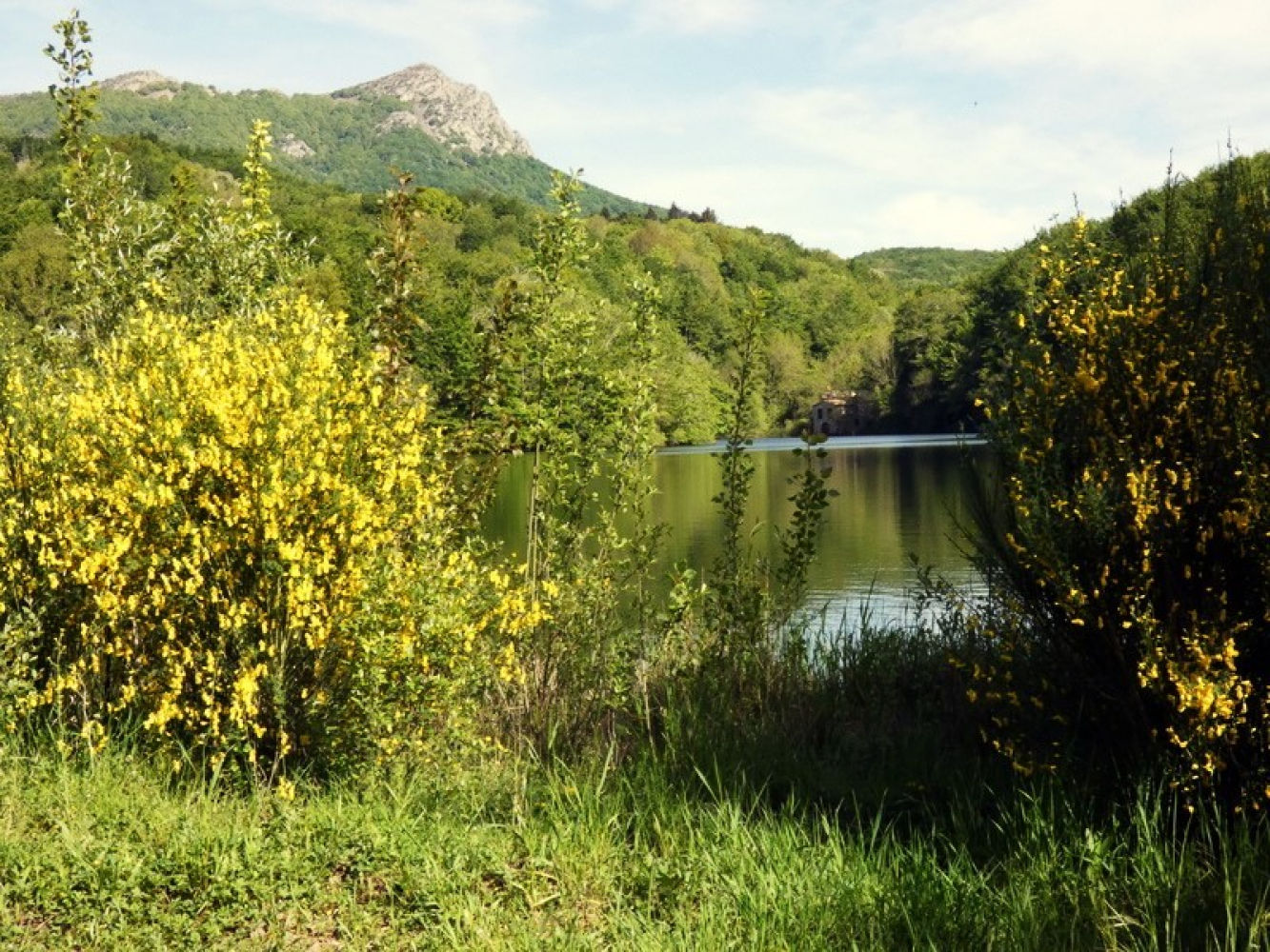 Pantano de Santa Fe en primavera.