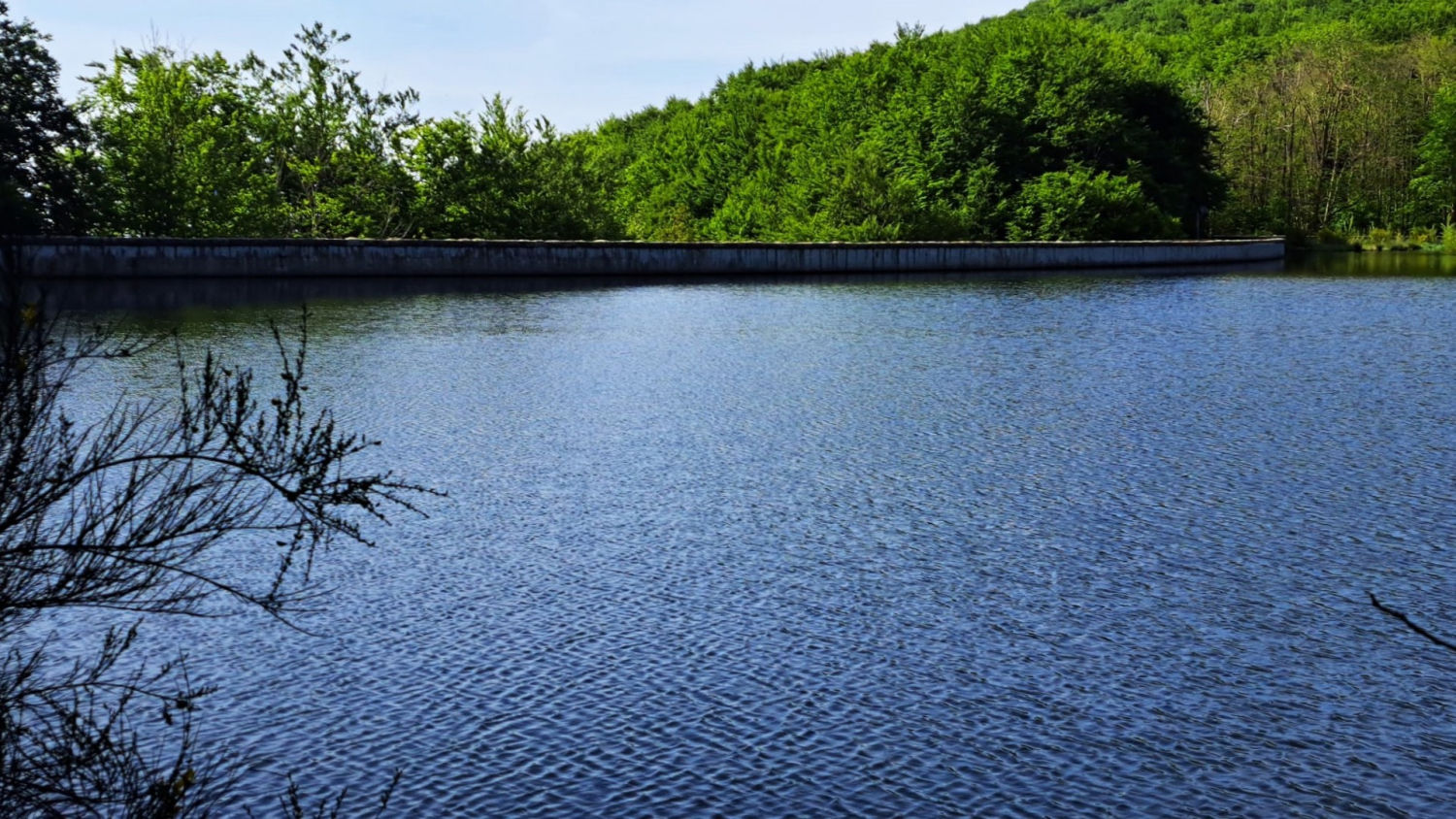 Pantano de Santa Fe lleno de agua esta primavera.
